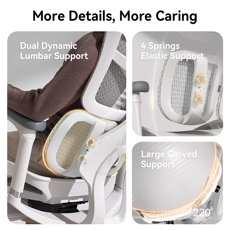 Sihoo S100 Dynamic Ergonomic Office Chair with Lumbar Support