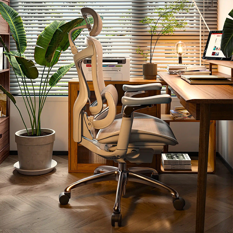 SIHOO Doro C300 Ergonomic Executive Office Chair with Advanced Back Support