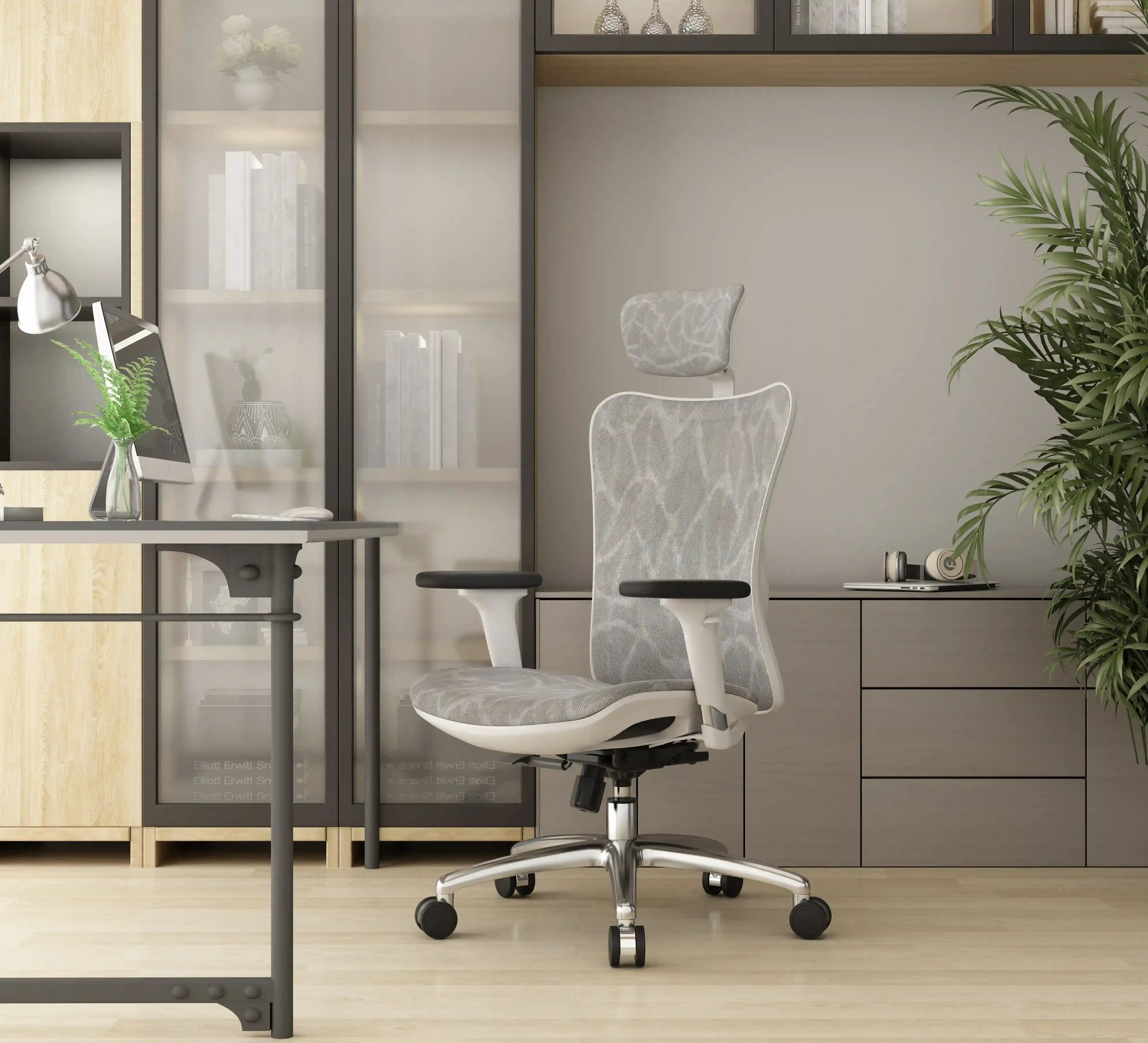 Sihoo M57 Ergonomic Office Chair with Breathable Mesh Cushion