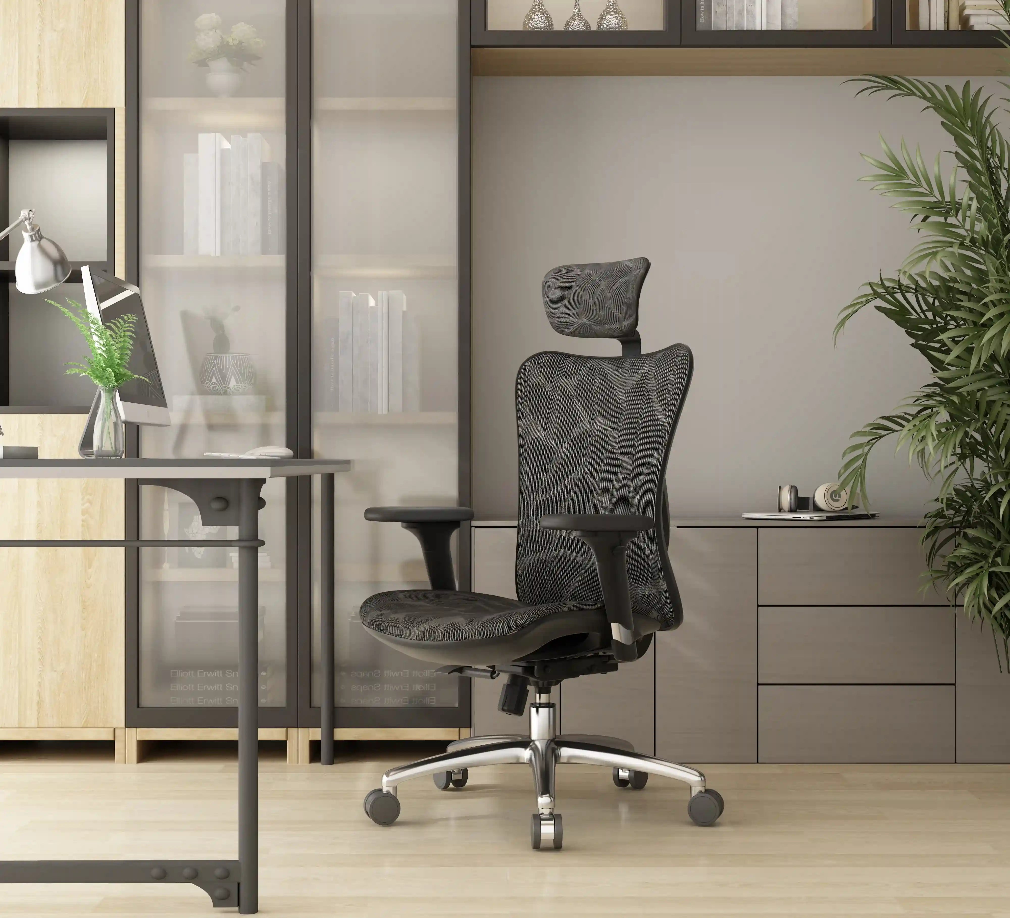 Sihoo M57 Ergonomic Office Chair with Breathable Mesh Cushion