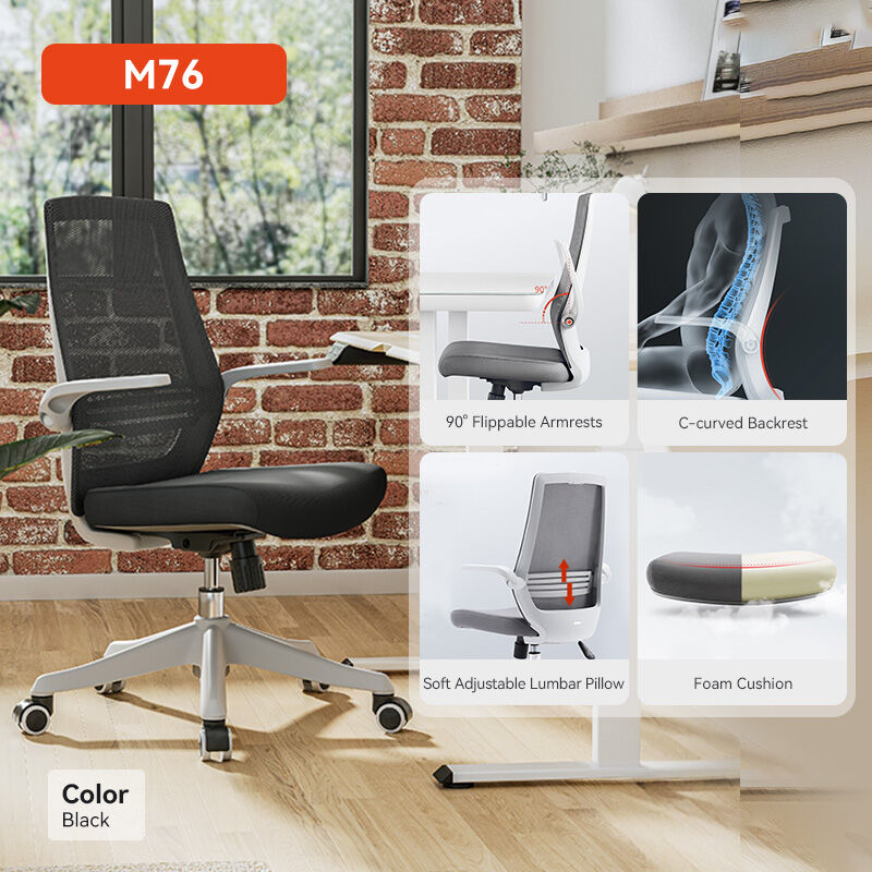 SIHOO M76 Ergonomic Chair for Office