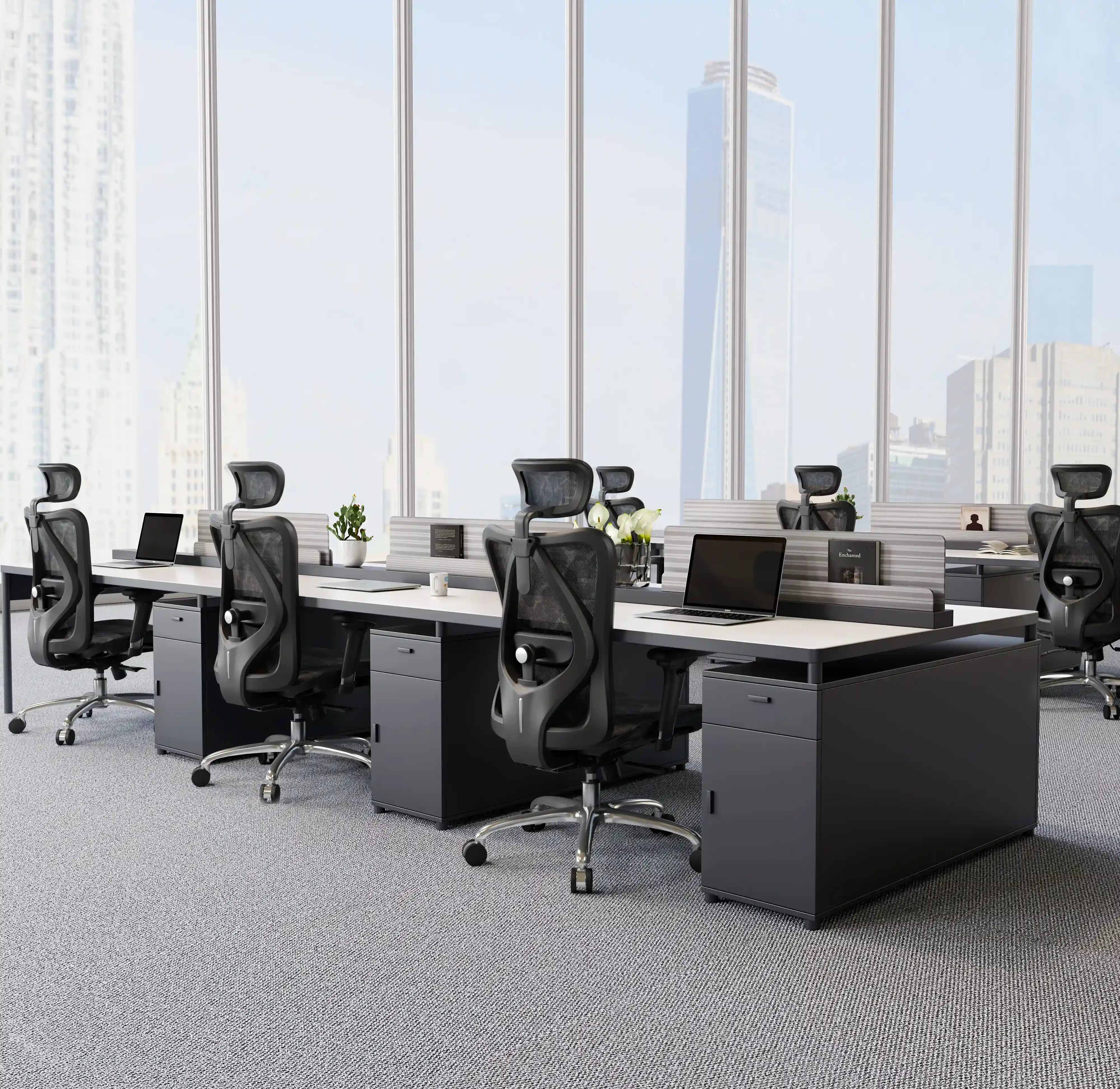 Sihoo M57 Ergonomic Office Chair with Breathable Mesh Cushion